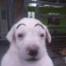 ricardo suarez's profile picture