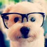 Luisa Santos's profile picture