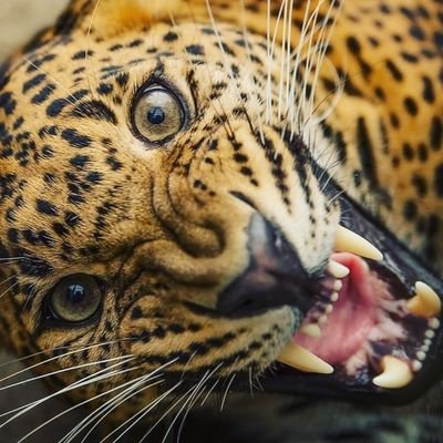 MiguelM73104161's profile picture