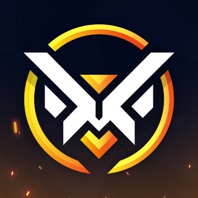 Blizzard Guides's profile picture
