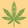 Фото профиля Golden Triangle Greens