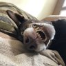 b.t's profile picture
