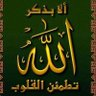 Mostafaahmed 的头像