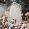 Фото профиля bubble space