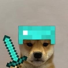 5hoes's profile picture