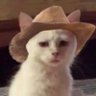 Profilbild von Jay