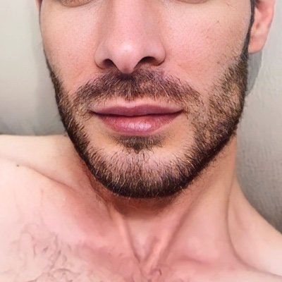 TeodorMihail5's profile picture