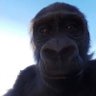 Profilbild von Sergi