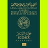 Algerian Amazigh Power's profile picture