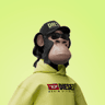 Profilbild von Ciruelolabs