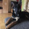 Margarete's profile picture