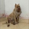 Фото профиля น๊ะจ้ะพ่องมุง