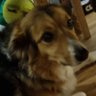Profilbild von Zane