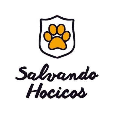 Salvando Hocicos Paraguay's profile picture