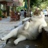 Takashi Ishii's profile picture
