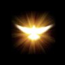 Profilbild von Heralding Angel