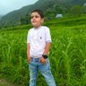Jugu Qazi's profile picture