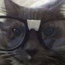 you mad's profile picture