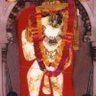 Raju Awasthi's profile picture