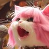 BJK's profile picture