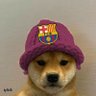 aaron 的头像