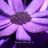 Emma🌼's profile picture