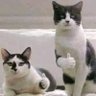 @UD_2000 (HIRO) profil fotoğrafı