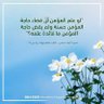 سومری profil fotoğrafı