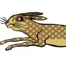 A hare in flight's profile picture