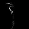 شَهْم profil fotoğrafı