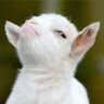 Papatim's profile picture