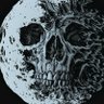 ?'s profile picture