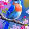 حًےـيّےدُرَ profil fotoğrafı