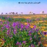 عبدالله متعب البقمي profil fotoğrafı