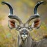 Profilbild von Muzaffar Hussain