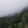 sahibzada waheed 的头像