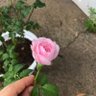 Фото профиля Sweetizz
