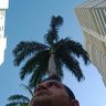 Фото профиля Francisco Francisco