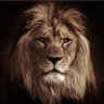 liaa9761's profile picture