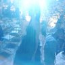 The diary of the witch profil fotoğrafı