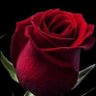 Reme 🤭🌹🌹🌹 的头像