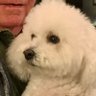 SallySays's profile picture