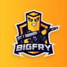 Bigfry🍟's profile picture