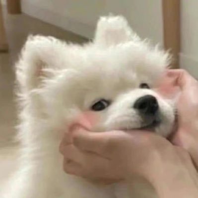 TTaewTaew's profile picture