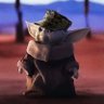 Glenn's profile picture