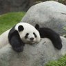 ばんだ2号's profile picture