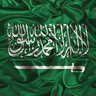 سعودي وافتخر🇸🇦's profile picture