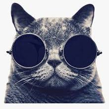 CoolCat_2023's profile picture