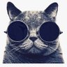 CoolCat's profile picture