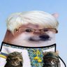 Profilbild von BonnieBlueFella🌻🇺🇦